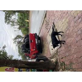 Chuyên mua bán vỏ cũ. Liên hệ: 0902235532